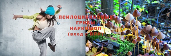 кокс Волоколамск