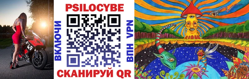 Псилоцибиновые грибы Psilocybe  Купить  Струнино 